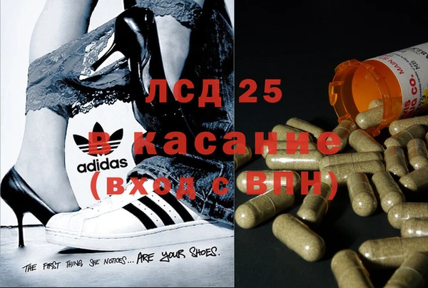 PSILOCYBIN Армянск